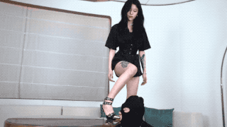 171258b5tya5u5yz8q5y6d.gif