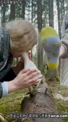 211558kt23ydymo3gtwgkw.jpg 211558kt23ydymo3gtwgkw.jpg