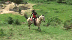 123825qz0dx2vddr2xf7xo.gif 123825qz0dx2vddr2xf7xo.gif