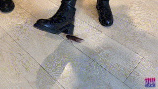235051qax05xf29juads2c.gif