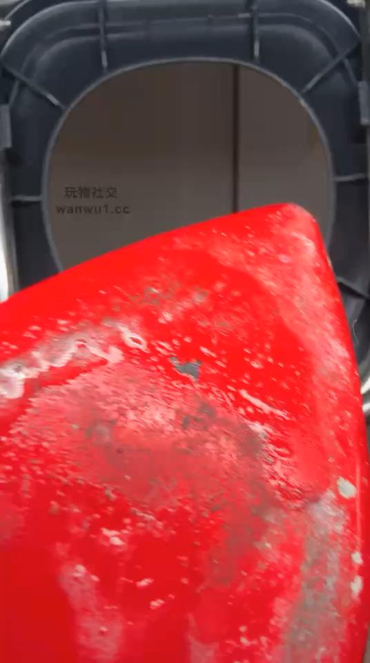 2408250839_20240825084105.JPG 2408250839_20240825084105.JPG