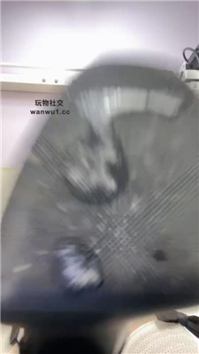 2408251441_20240825144255.JPG 2408251441_20240825144255.JPG