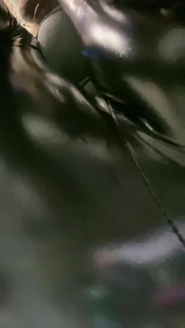 130809mfwjz22wltli2xzt.jpg