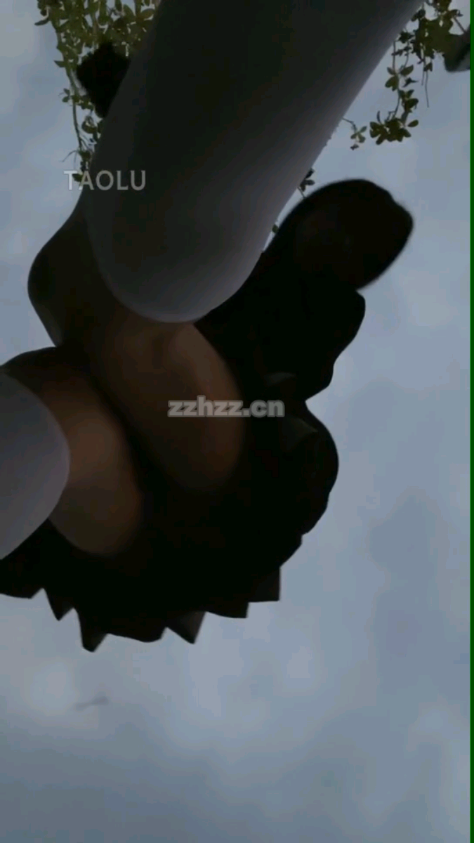 1728188378995.jpg