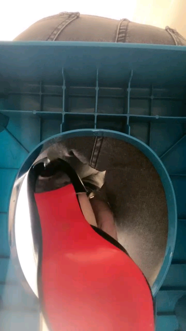 1730360674424.jpg