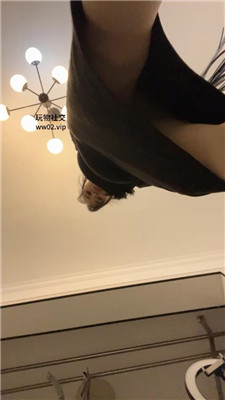 2411010553_20241101094630.JPG