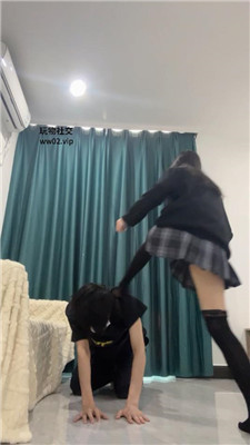 2411091700_20241109170124.JPG