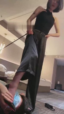 033622wdgtvwueoedoaztv.jpg
