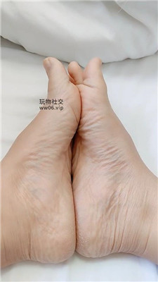 霸王花红绿灯 (2).JPG 霸王花红绿灯 (2).JPG