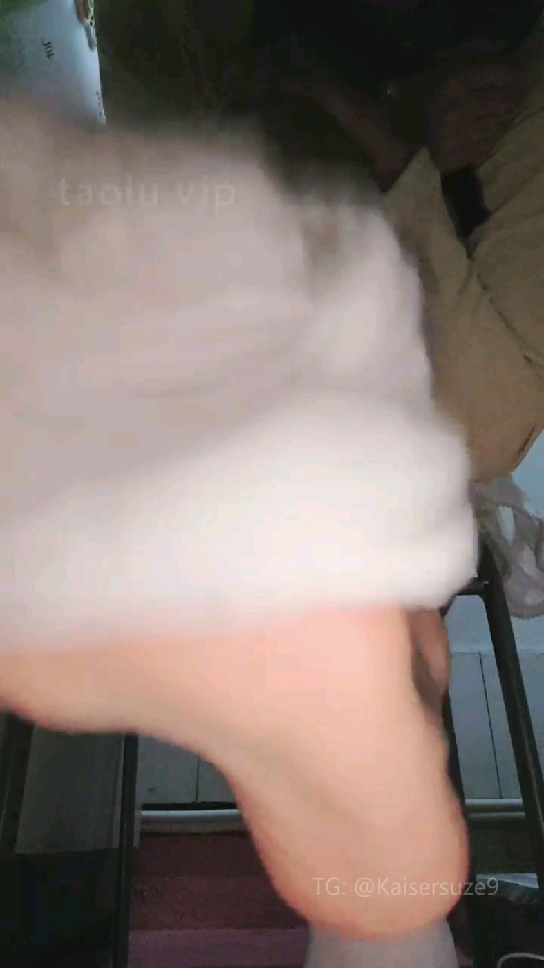 1743563519854.jpg