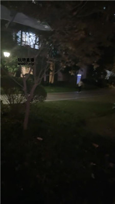 2504170538_20250417075113.JPG