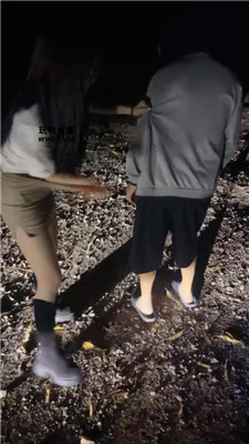 2504291112_20250429111402.JPG