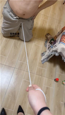 2504301638_20250430164025.JPG