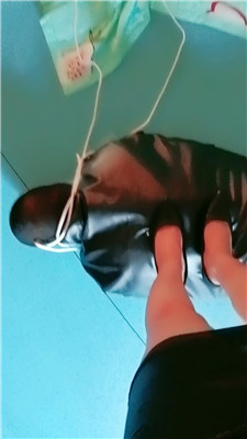 qy_20250501204531.JPG