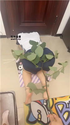 【饭饭】白棉袜玩虐闺蜜犬