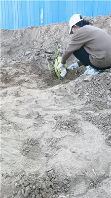 lx_20250503173256.JPG