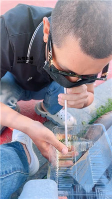 2505031552_20250503155646.JPG