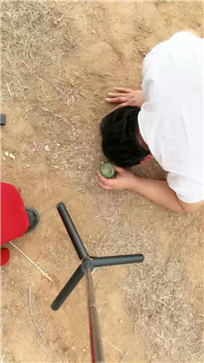 2505041737_20250504173945.JPG