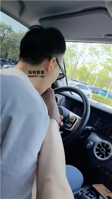 【莱恩】踩开车中贱狗