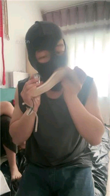 3f385cedcde7fad38941ad37c6404771.jpg