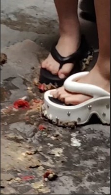 5 (4).jpg 5 (4).jpg