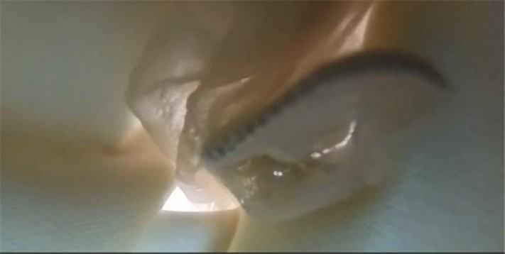 7 (10).jpg 7 (10).jpg