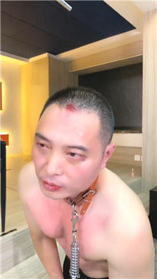 麋鹿银儿_20250807095409.JPG