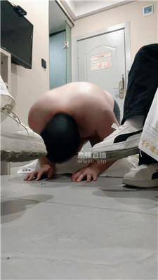 【小凤梨小渔崽】3704+3721